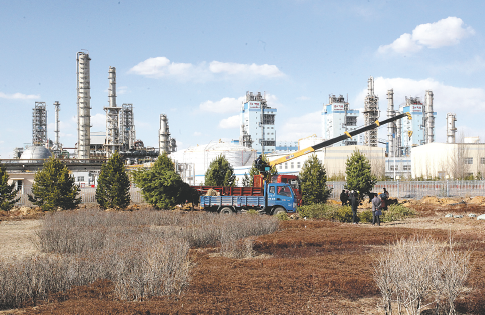 麻将高手直播对决